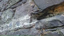 acastle
                          103095.jpg